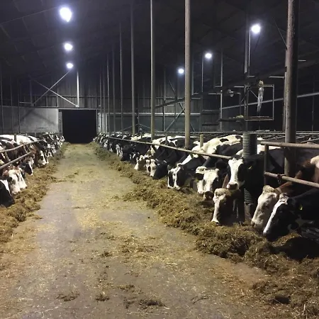 Noord-hollands Hof Dream Lägenhet Spijkerboor