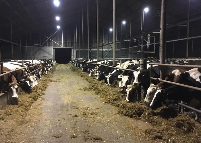 Noord-hollands Hof Dream Appartement Spijkerboor