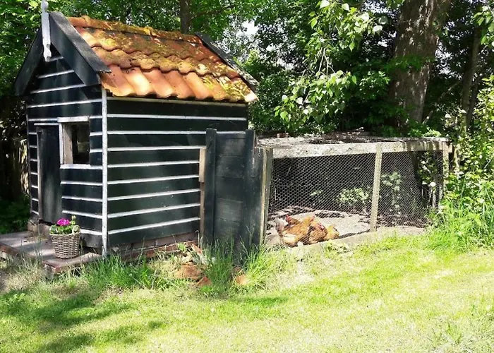 Noord-hollands Hof Dream *