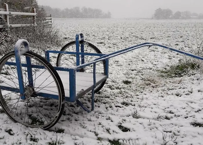 Noord-hollands Hof Dream Appartement Spijkerboor