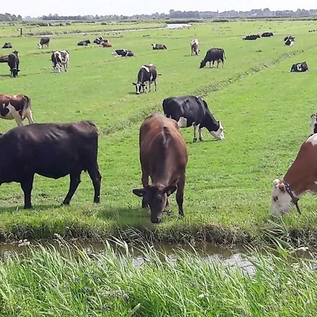 Apartmán Noord-hollands Hof Dream Spijkerboor