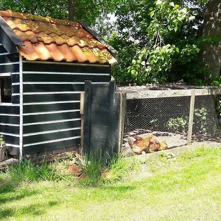 Noord-hollands Hof Dream *